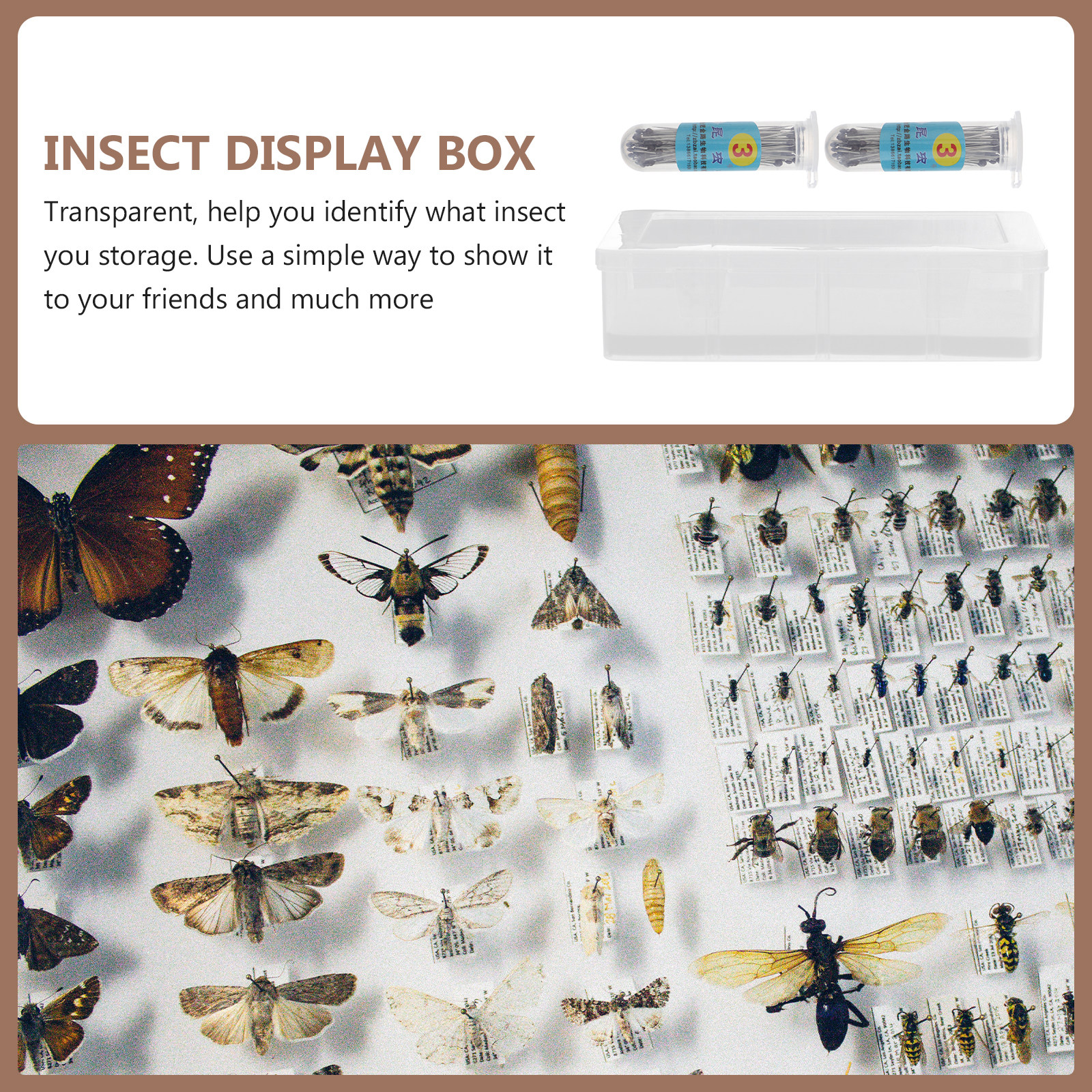 1Set Transparent Specimen Box  - Collectors Coins Jewelry & Watches Of Smithtown Reviews のレビューと価格