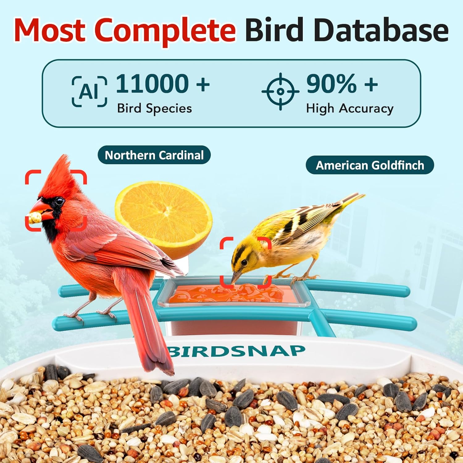 2K HD Bird Feeder Camera with  - Watches & Jewelry Repair Center New York のレビューと価格