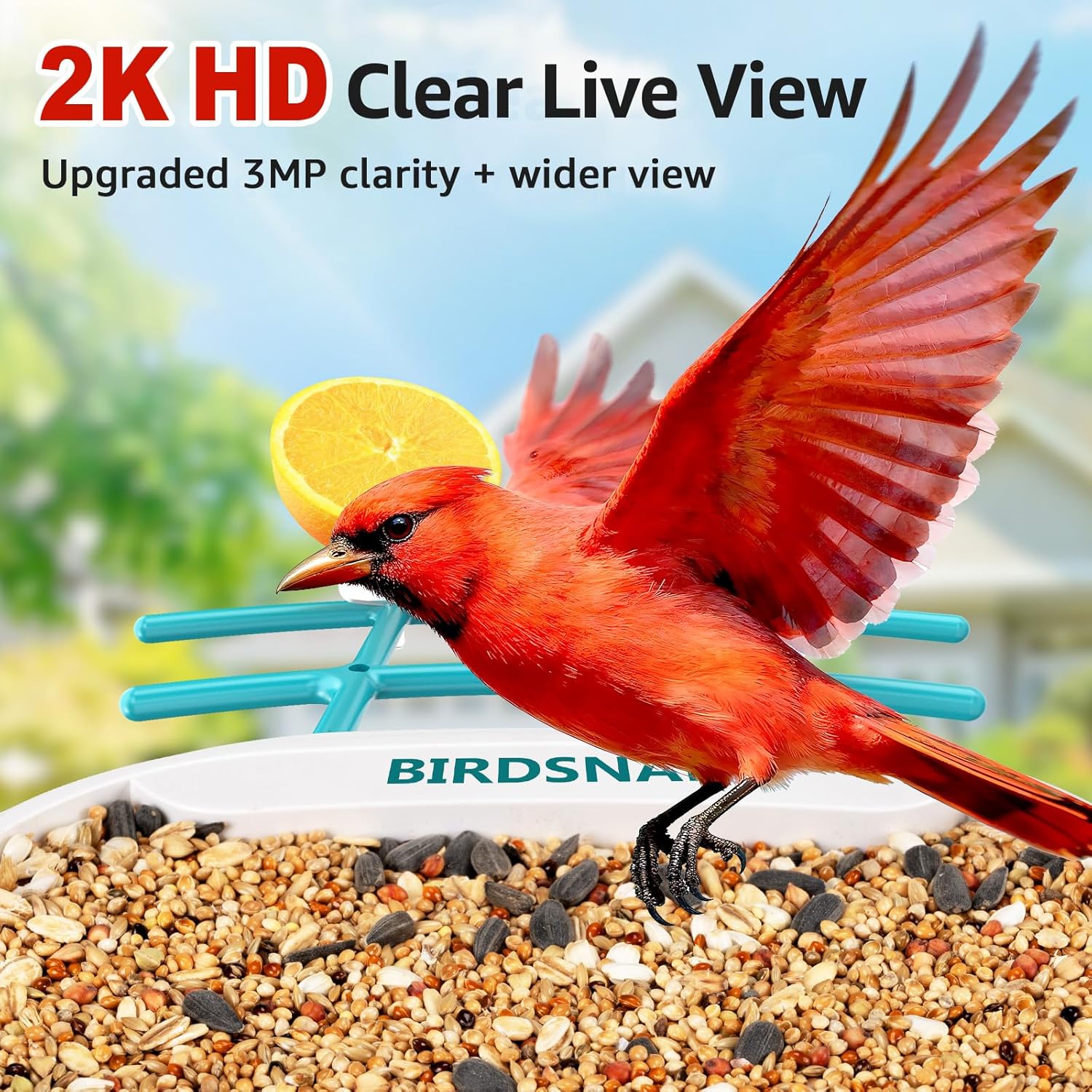 2K HD Bird Feeder Camera with  - Watches & Jewelry Repair Center New York のレビューと価格